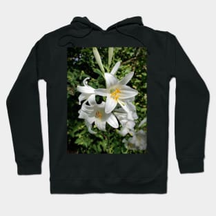 White Lily Hoodie